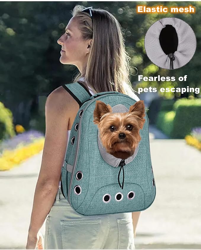 Pet Dog Backpack Carrier Small Doggy Front Backpack,Large Space Cat Carrier Backpack,Ventilated for Hiking,Camping,Travel,Suitable for Shopping and Vet,Max 12 lbs(Cyan)