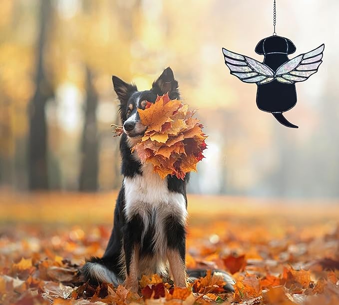 Stained Glass Rainbow Wing Angel Dog Memorial Gift for Loss of Dog Bereavement (Black)