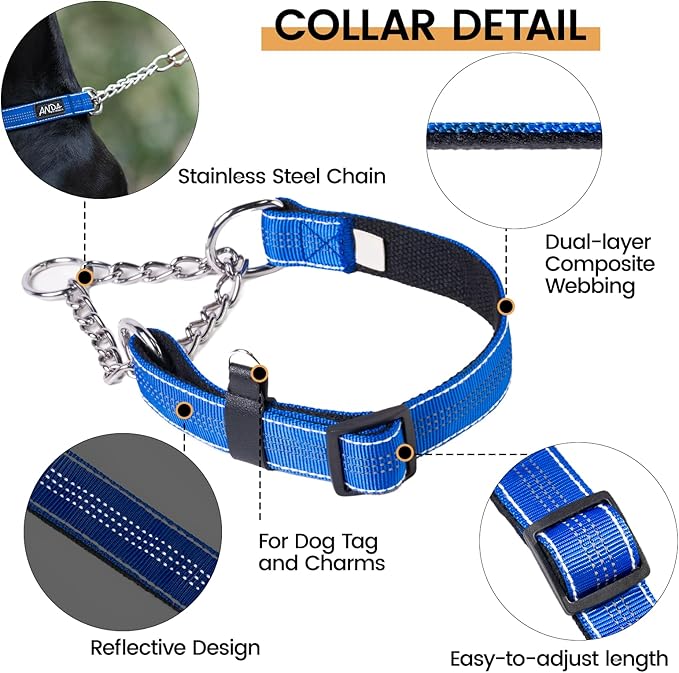 ANDA Martingale Collar for Dogs, Adjustable with Reflective Stainless Steel Chain, No-Pull Escape-Proof Training Collar for Medium and Large Breeds (Blue, Medium)