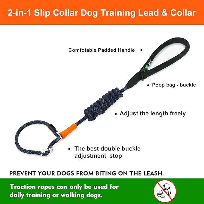 BeauGo| Slip Lead Dog Leash|Dog Training Leash & Colla,Professional Trainer Rope,Sturdy and Durable,Suitable for All Dogs Training leashes (5ft Orange)