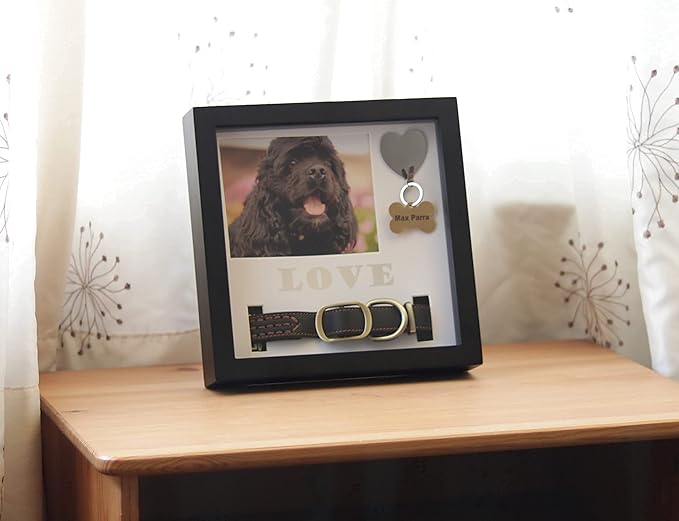 Daily Power-tivity Pet Memorial Picture Frame Shadow Box - Dog Gift Keepsake wCollar Mount and Heart Hook Forever In Memory, Remembrance Show Sympathy For Your BONUS TWO Mattes to choose from, Black