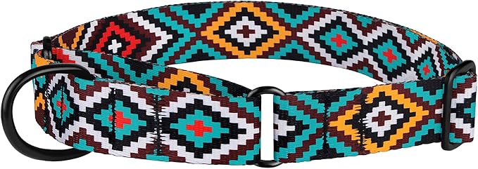 CollarDirect Aztec Martingale Collars for Dogs Heavy Duty Tribal Pattern Safety Nylon Training Collar Large Medium Small (Ethnic Teal, M, Neck Size 12"-17")