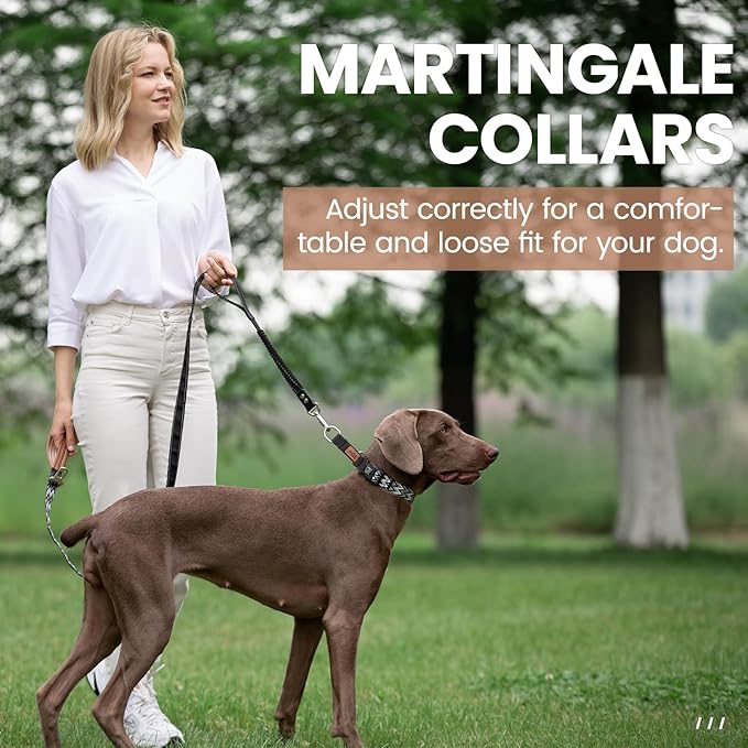 ANDA Martingale Collar for Dogs, Double-Layered Composite Material with Buckle,No-Pull Training Collar for Easy Control with no Choking (Chevron Black, Large)