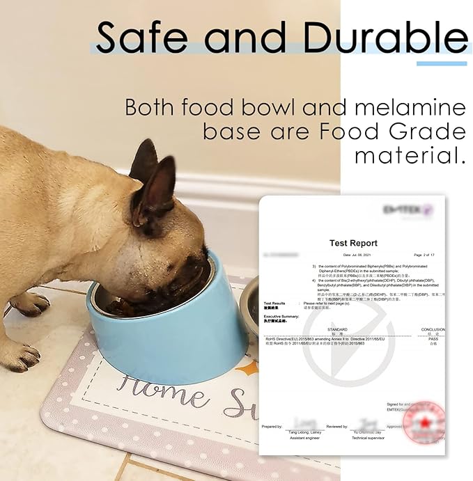 SuperDesign Mess Free 15° Slanted Bowl for Dogs and Cats, Tilted Angle Bulldog Bowl Dog Feeder, Non-Skid & Non-Spill, Easier to Reach Food L/2 Cup Blue
