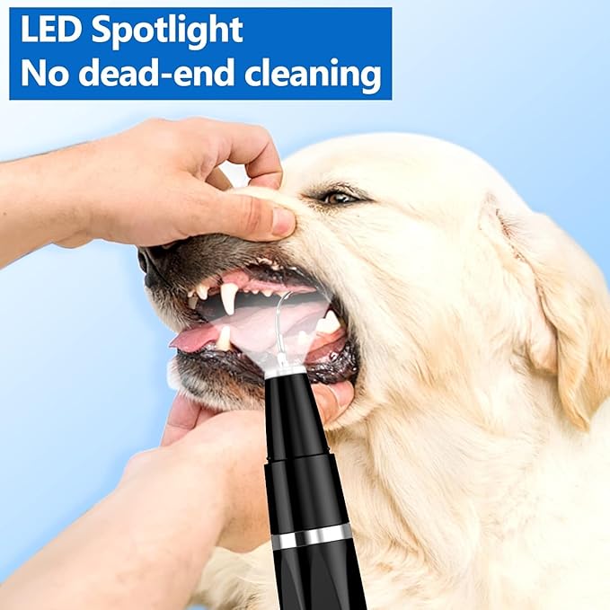 Plaque Remover for Teeth - Pet Ultrasonic Cleaner - Teeth Cleaning Kit for Tartar and Stains - Suitable for Dogs and Cats (Black)