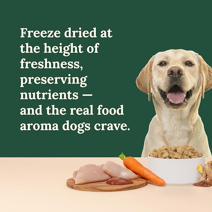360 Pet Nutrition Freeze-Dried Raw Dog Food – Chicken Recipe with Liver & Organs, High Protein, Omega-3s, Fruits, Veggies & Superfoods, Grain-Free, No Fillers, 3 lb – Made in USA