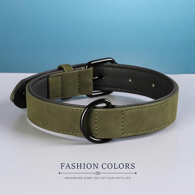 Didog Soft Padded PU Leather Dog Collar, Breathable and Adjustable Dog Collars for Small Dogs, Comfortable for Daily Walk, Dark Green, M Fit Neck 11-14"(10-20 lbs)