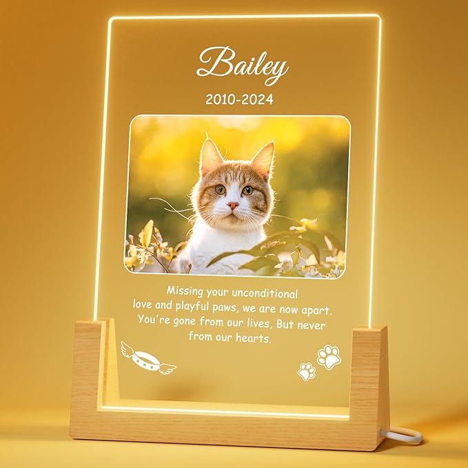 Bemaystar Personalized Pet Memorial Gifts - in Memory of Dog Night Lights, Custom Dog Memorial Gifts for Loss of Dog, Pet Loss Gifts, Memorial Plaques for Dogs, Pet Vertical Memorial Gifts