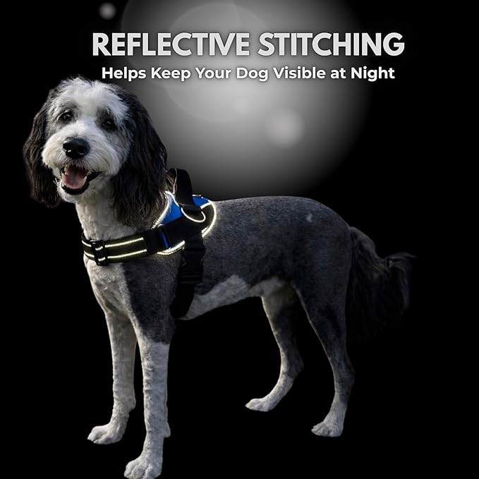 ShawnCo Essential Dog Harness, No-Pull Pet Vest with 3 Leash Clips, No Choke, Reflective, Adjustable and Padded, for Easy Walking and Training for Small, Medium and Large Dogs (Orchid, M)