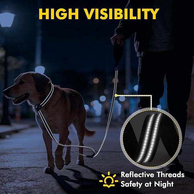 XiaZ 6FT Slip Leash for Dogs,Dog Leash with Comfortable Flat Collar and Soft Padded Double Handle,Nylon Reflective No Pull Leashes for Small Medium Large Dogs, Training Walking Running (Black)