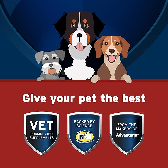 Bundle of Seresto Small Dog Collar for Dogs Under 18 lbs. + Pet Protect Hip & Joint Supplement for Dogs 60 Chews