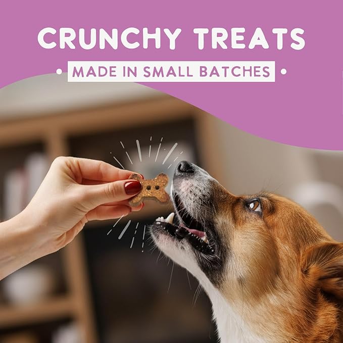 Health Extension Oven-Baked Dog Treats, Peanut Butter Recipe – Gluten & Wheat-Free, Superfood-Infused, Crunchy Biscuits for Puppy Training (2.25 lb)