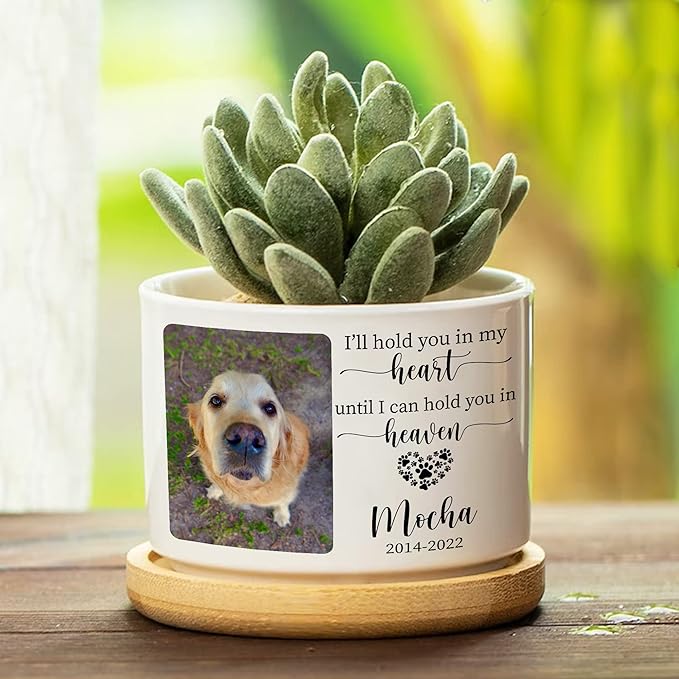 Customized Dog Memorial Gift Plant Pot Outdoor Pet Memorial Cross Pet Plant Pot Personalized Pet Crosses Memorial Gift For Someone Lost Cat Grief Funeral In Loving Memory Window Decor