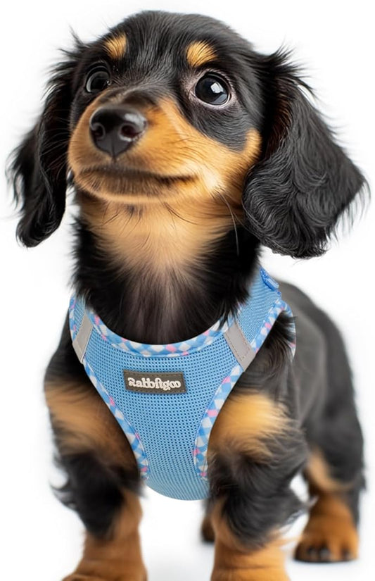 rabbitgoo Small Dog Harness, Step-in Soft Mesh Puppy Vest with Safety Buckle, Breathable Reflective Pet Harness for Extra Small Dogs, Blue & Plaid Trim XXS