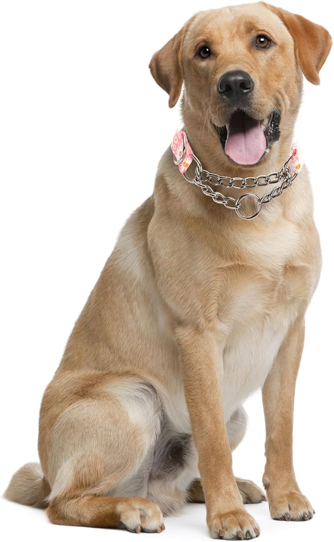 Stainless Steel Chain Martingale Collar for Dogs, No Pull Slip Cinch Choker Choke Collar Training Escape Proof Heavy Duty Dog Collar for Small Medium Large Pet Girl Female Dogs, Pink Daisy L