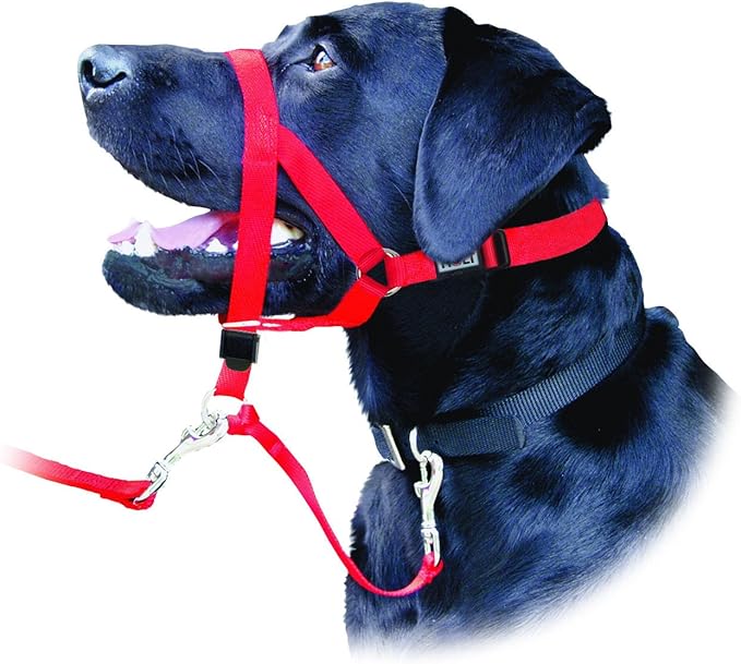 Coastal Pet Walk 'n Train Dog Head Halter - Head Colllar Dog Leader - No-Pull Pet Harness - Quick-Drying Polyester - Black - XLarge