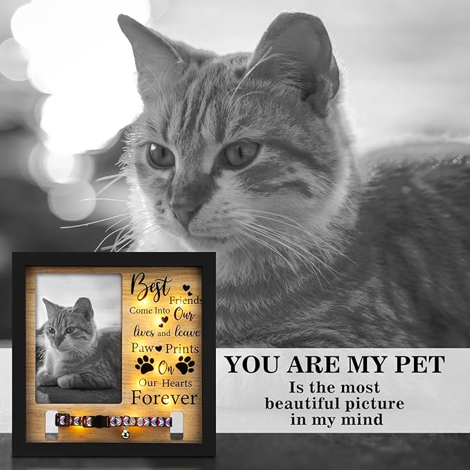 Thyle Dog Memorial Picture Frame Collar Holder and LED Light 9 x 9 Inch Pet Memory Gift Memorial Frame for Loss of Pet Sympathy Gift for Remembrance Bereavement Passed Away Loss of Dogs Cats