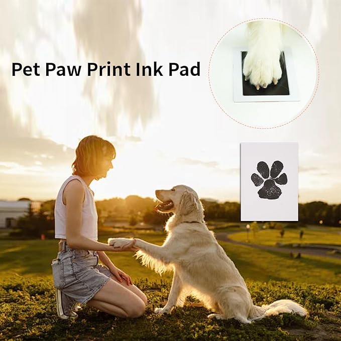 Dog Collar Memorial Picture Frame with Paw Print, Loss of Dog Sympathy Gift, Pet Bereavement Photo Frame for Dog Cat, Condolence Gift for Pet Lovers