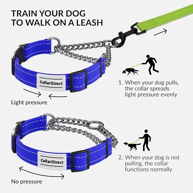 CollarDirect Martingale Dog Collar with Stainless Steel Chain and Quick Release Buckle - Reflective Collar for Large, Medium, Small Dogs - Blue, Medium (Neck Size 14"-17")