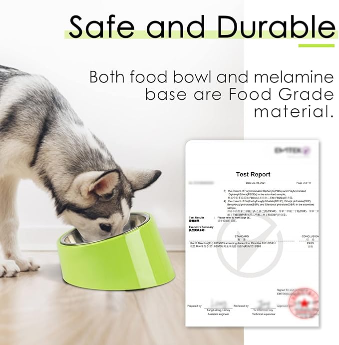 SuperDesign Small Tilted Dog Bowl for Flat-Faced Breeds, Slanted Bulldog Feeder with 2 oz / 0.5 Cup Capacity, 15° Angled Feeding Bowl for Puppies, Cats & Small Dogs, Green
