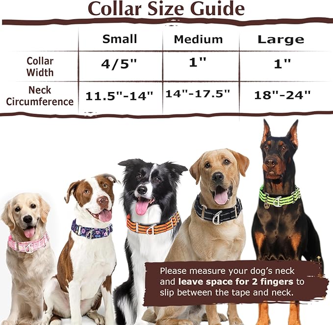 Martingale Collar for Dogs - Reflective Nylon with Padded Comfort & Quick Release Buckle - No Slip Choke Heavy Duty Collar for Safe Training, Walking & Nighttime Use Purple S