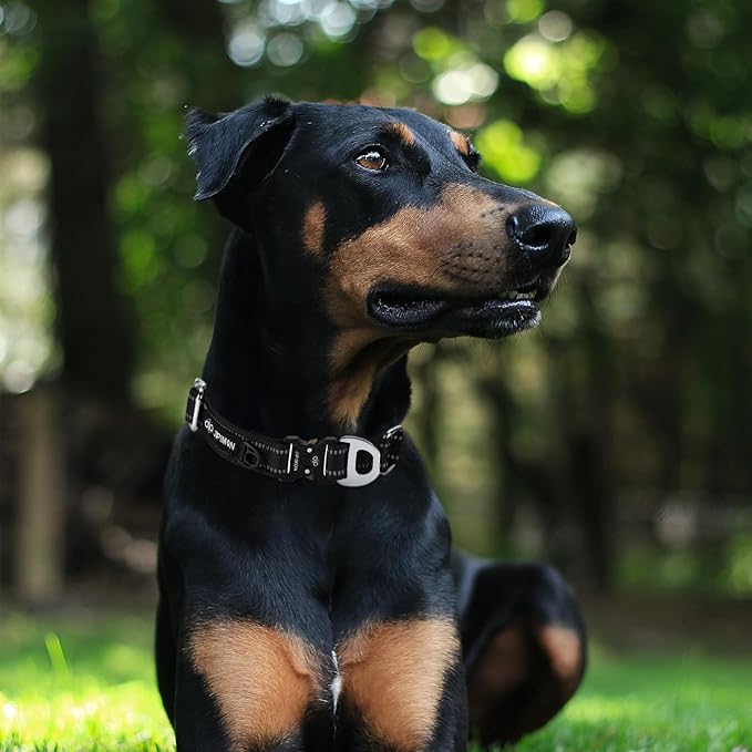 Martingale Dog Collar Reflective Nylon Soft Cushion with Alloy Buckle Dog Collar Martingale Small Medium and Large Dogs (Small, Black)