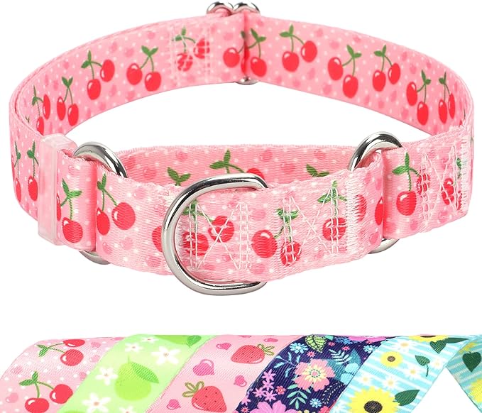 Martingale Dog Collar for Small Medium Large Pet Dogs- Pink Cherry No-Slip Escape Proof Choke No Pull Fruit Dog Collar for Male and Female Dogs Training & Walking L