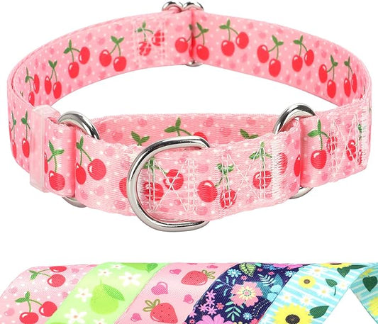 Martingale Dog Collar for Small Medium Large Pet Dogs- Pink Cherry No-Slip Escape Proof Choke No Pull Fruit Dog Collar for Male and Female Dogs Training & Walking L