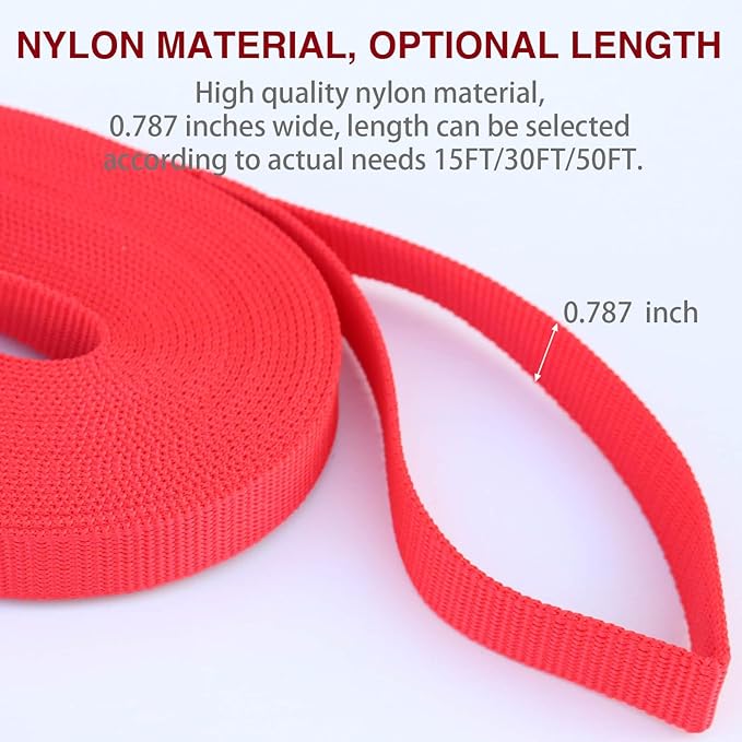 Dog Leash Puppy Obedience Recall Training Agility Lead 30ft, Great for Play, Camping, or Backyard