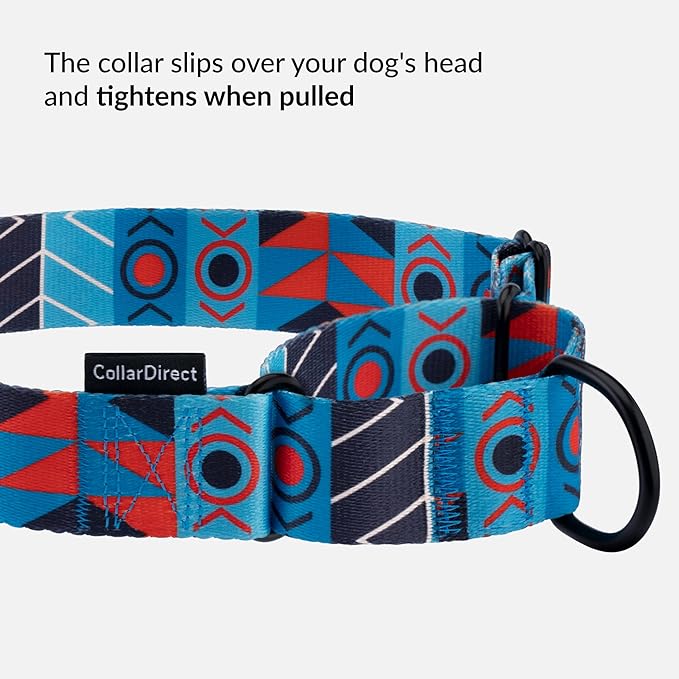 CollarDirect Aztec Martingale Collars for Dogs Heavy Duty Tribal Pattern Safety Nylon Training Collar Large Medium Small (Blue Ethnic, L, Neck Size 15"-20")