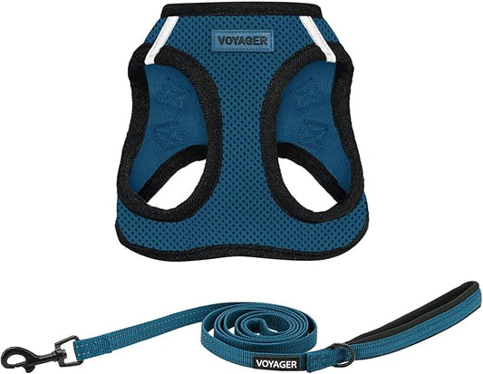 Best Pet Supplies Voyager Step-in Air All Weather Mesh Harness and Reflective Dog 5ft Leash Combo with Neoprene Handle, for Small, Medium and Large Breed Puppies - Set (Blue/Black Trim), Large