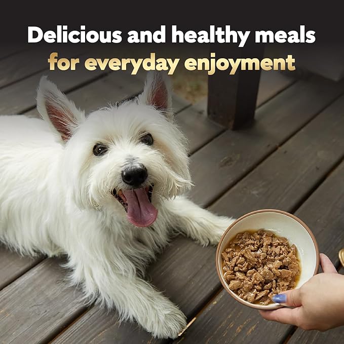 Cesar Filets in Gravy, Adult Wet Dog Food, Prime Rib Flavor, Wet Food for Dogs, 3.5 oz Trays, 24 Count