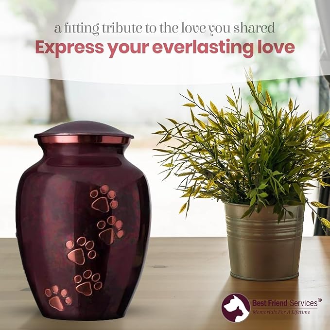 Ottillie Paws Legacy Series Pet Urn for Dogs, Handmade Brass Memorial Cremation Urn (X-Large - Pets up to 170 lbs, Raku, Vertical Brass Paws)