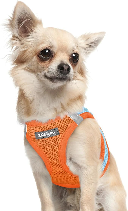 rabbitgoo Small Dog Harness, Step-in Soft Mesh Puppy Vest with Safety Buckle, Breathable Reflective Pet Harness for Extra Small Dogs, Blue & Orange XXXS