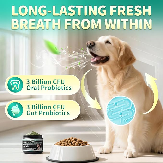 Dog Dental Powder – Teeth Cleaning Powder with 6B CFU Probiotics, Enzymes & Antioxidants, Plaque & Tartar Off, Fresh Breath Support, 75 Days, Mint Chicken Flavor, No Brushing Oral Care