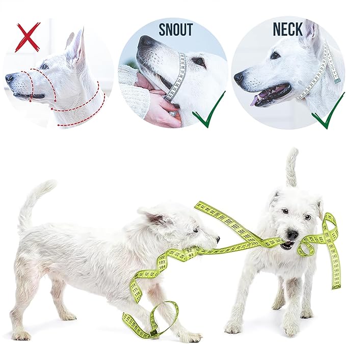 GoodBoy Dog Head Halter with Safety Strap - Stops Heavy Pulling On The Leash - Padded Headcollar for Small Medium and Large Dog Sizes - Head Collar Training Guide Included (Size 4, Blue Nylon)