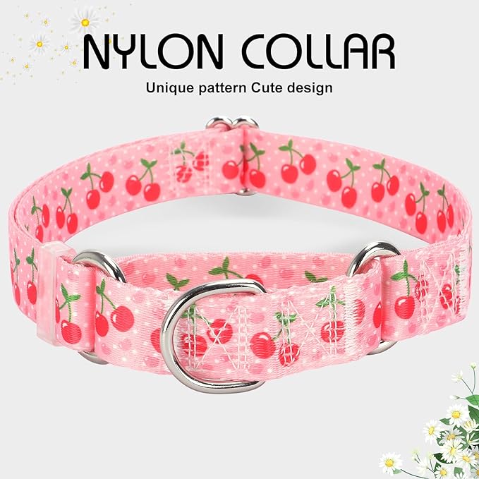 Martingale Dog Collar for Small Medium Large Pet Dogs- Pink Cherry No-Slip Escape Proof Choke No Pull Fruit Dog Collar for Male and Female Dogs Training & Walking L
