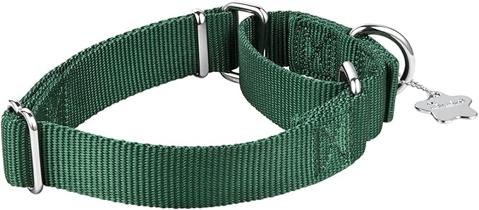 Martingale Dog Collar, No-Buckle Escape-Proof Design, Heavy-Duty Nylon and Welded D-Ring, Adjustable Training Collar for Medium Large Dogs (Dark Green, L)