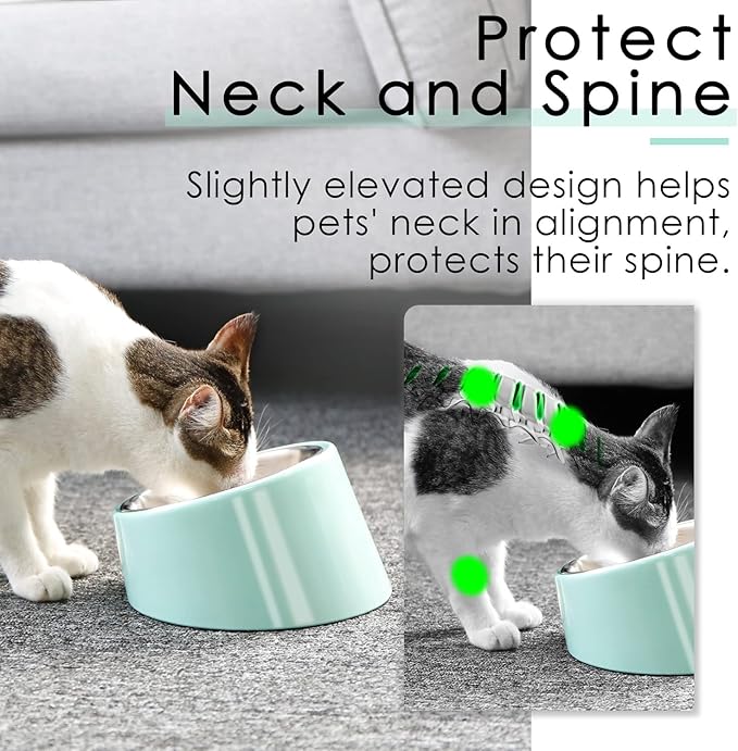 SuperDesign Mess Free 15° Slanted Bowl for Dogs and Cats, Tilted Angle Bulldog Bowl Dog Feeder, Non-Skid & Non-Spill, Easier to Reach Food L/2 Cup Teal