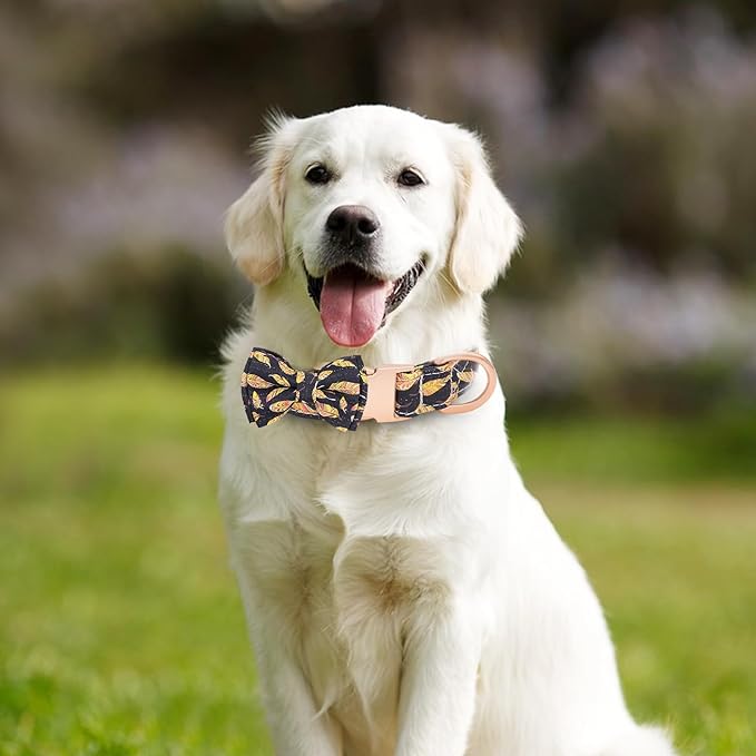 Dog Collar and Leash Set Adjustable Girls Puppy Floral Collars with Bow Tie for Small Medium Large Dogs(S, Feather)