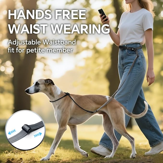 QQPETS Adjustable Slip Lead Dog Leash, Hands Free Waist Leash for Dog Walking, Reflective Training Lead with 360° Swivel Anti-Tangle, 4-7 ft Length for All Breeds