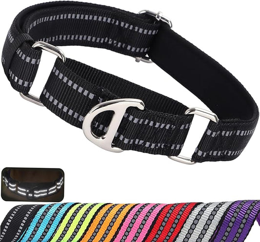 Martingale Dog Collar for Medium Dogs, No Pull Choke Collar with Reflective Nylon - Padded Comfort &- Adjustable Safe Dog Collar No Buckle for Nighttime Walking & Training -Black M