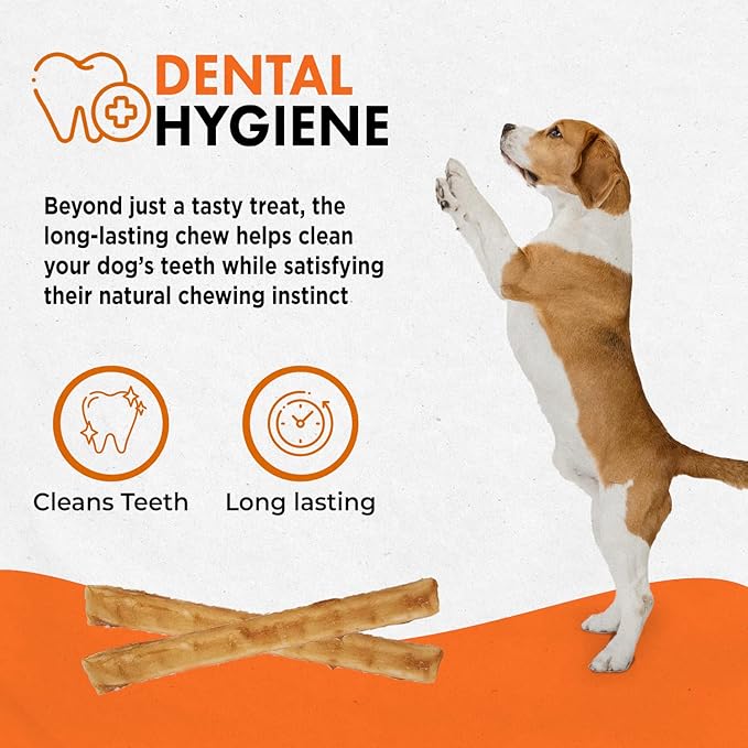 Canine Naturals Chicken Recipe Chew - Rawhide Free Dog Treats - Made From USA Raised Chicken - All-Natural and Easily Digestible - 10 Count of 5 Inch Stick