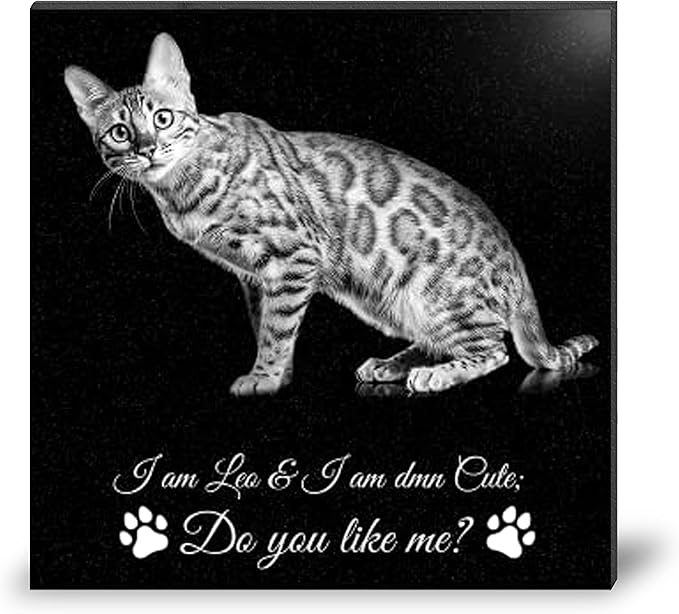 ADFSTONE 6" Pet Memorial Stones Personalized Dog Remembrance Gifts, Customized Cat Picture Grieving Plaque, DIY Gravestone, Custom Sympathy Photo Gift, Animal Grave Markers, Little Tombstones