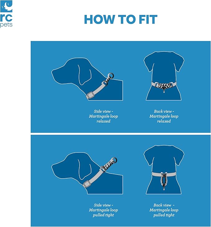 Training Collar | Fresh Tracks Blue, X-Small