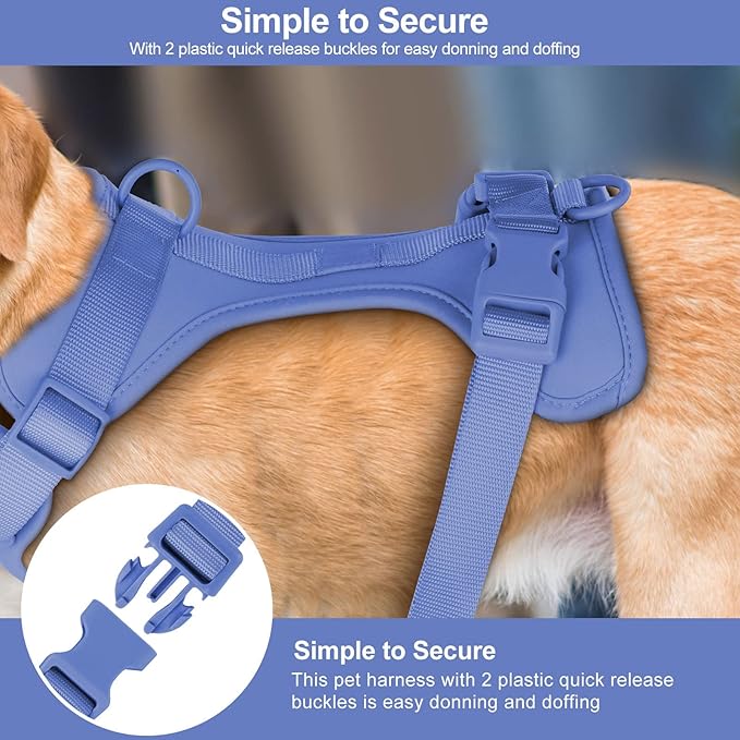 Wisedog No Pull Lightweight Dog Vest Harness with Soft and Comfortable Cushion, Breathable Mesh, for Small Medium Large Dogs Walking (S(Neck: 9.84"-14.17";Chest: 14.17"-22.05"), Blue)