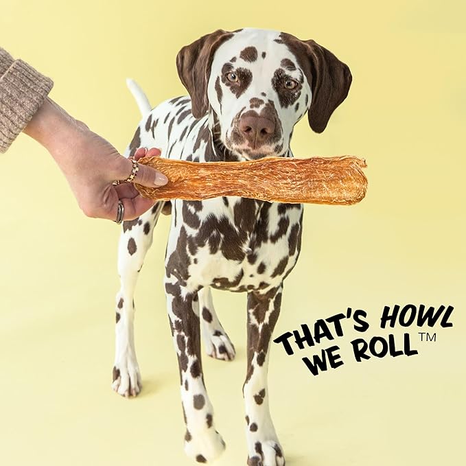 Polka Dog Bakery Chicken Strip Jerky Dog Treat, 2-Pound
