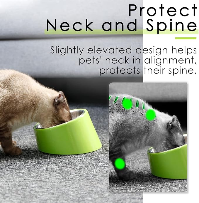 SuperDesign Mess Free 15° Slanted Bowl for Dogs and Cats, Tilted Angle Bulldog Bowl Dog Feeder, Non-Skid & Non-Spill, Easier to Reach Food L/2 Cup Green