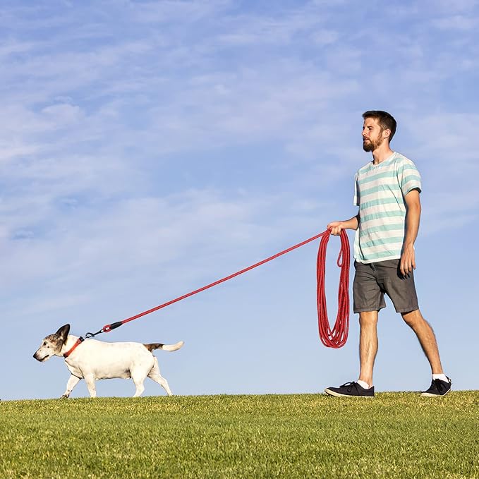 Long Dog Leash for Training 15Ft-Reflective Nylon Rope with Swivel Hook-Recall Agility Lead for Large Small Medium Dogs Outside Walking Hiking-Red Diam 1/2"