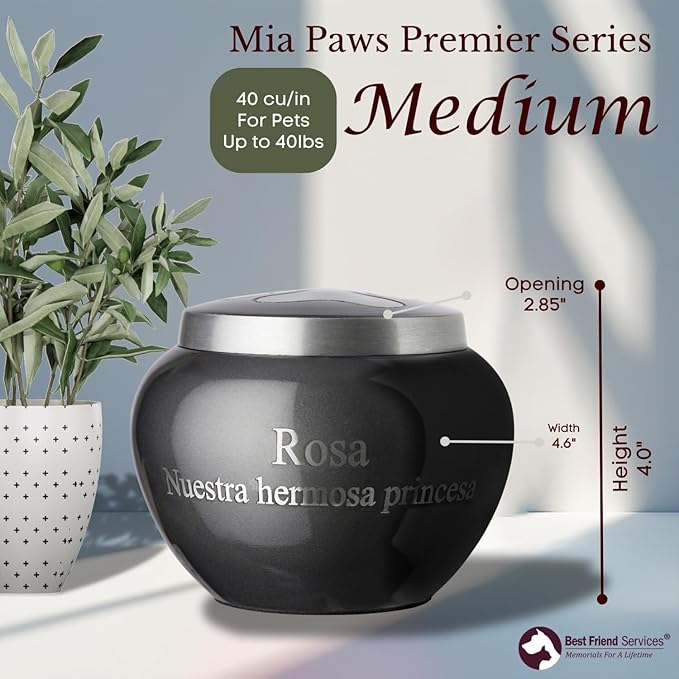 Mia Paws Premier Series Pet Urn for Dogs with Personalized Laser Engraving (Medium - Pets up to 35 lbs, Slate, Single Pewter Paw)